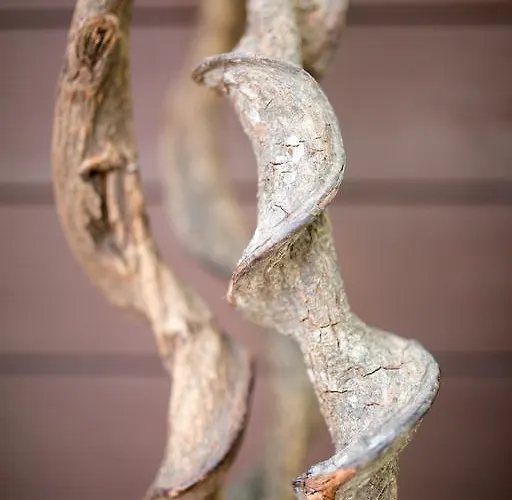 Hotel Europa Lignano