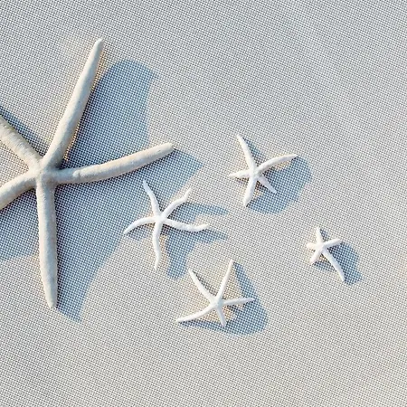 فندق Europa Lignano