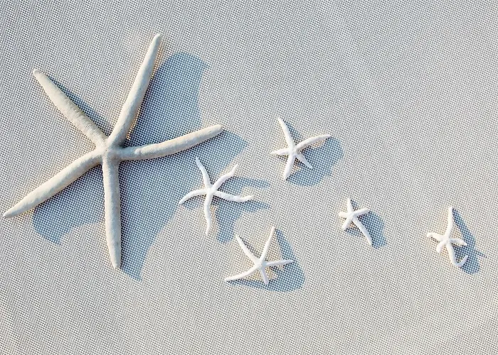 Hotel Europa Lignano